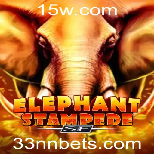 33nn Casino App